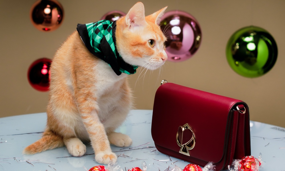 Kate-spade-new-york-2020-holiday